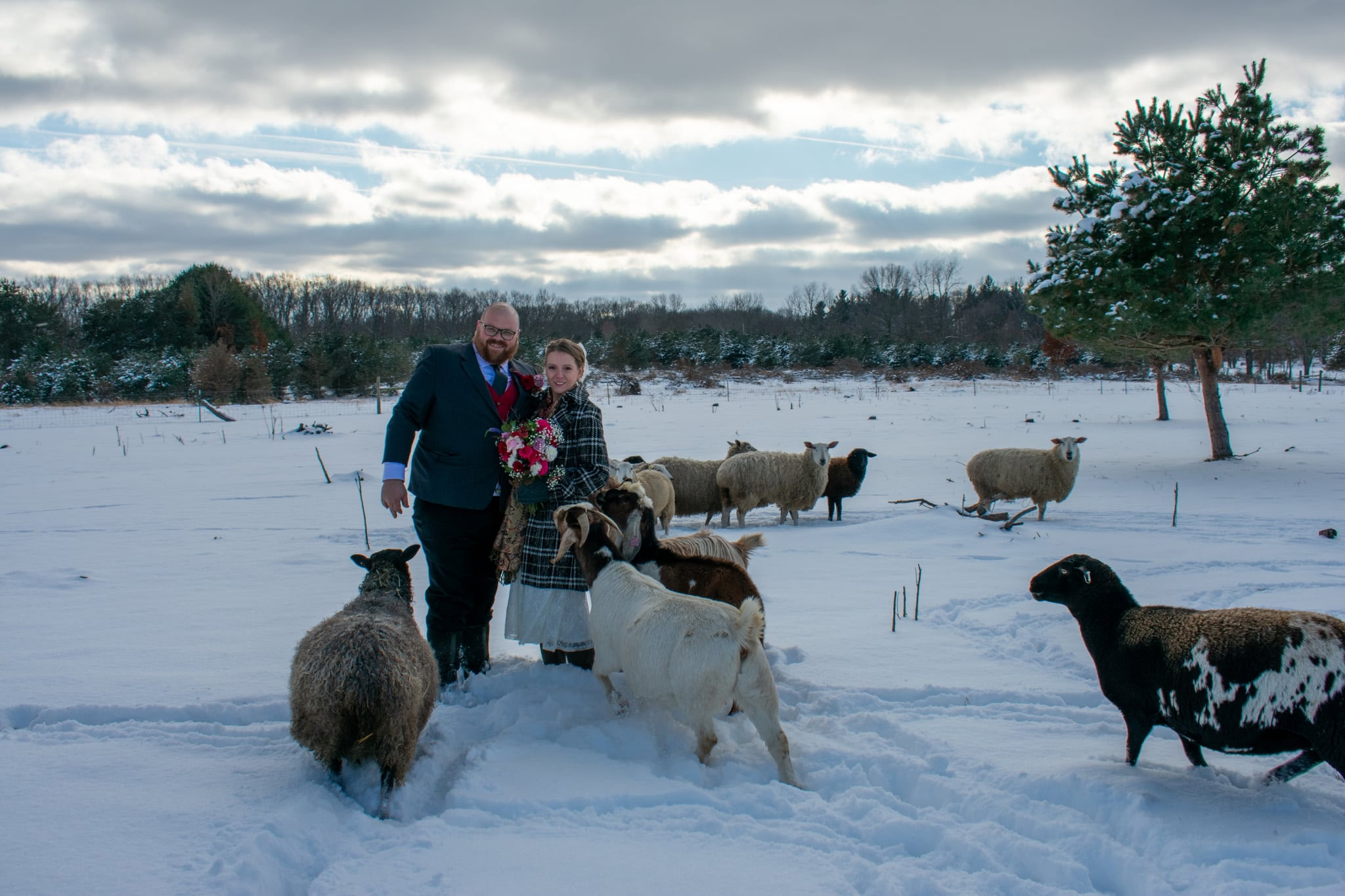 Two young goats grazing on green grass in a natural setting, showcasing their distinctive brown and white coats.